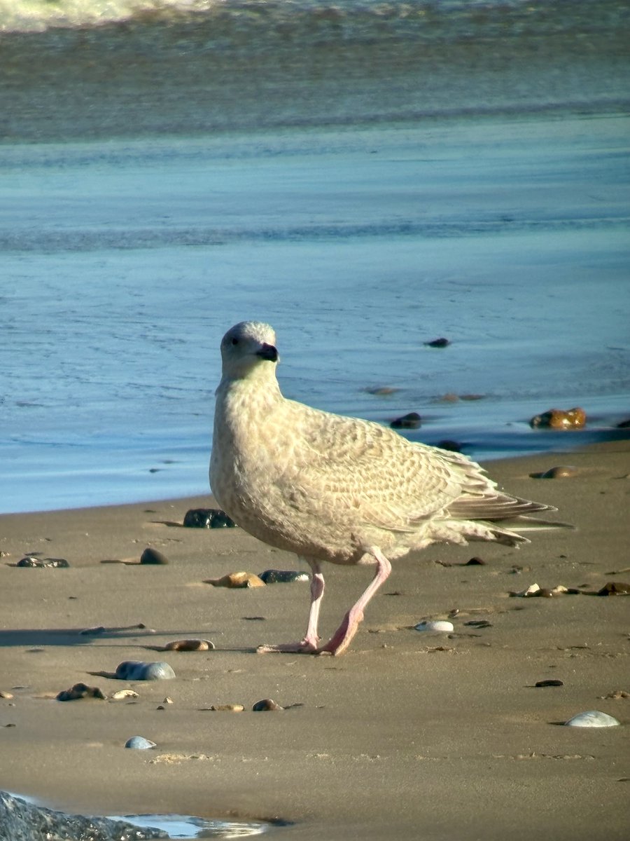 Steve Richards tweet media