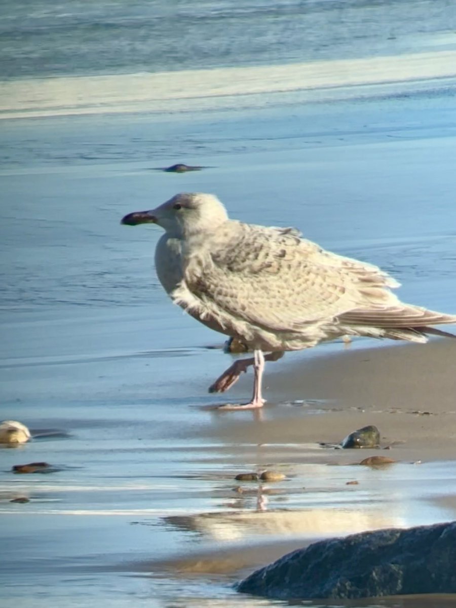 Steve Richards tweet media