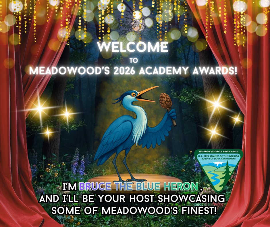 Bureau of Land Management - Eastern States tweet media