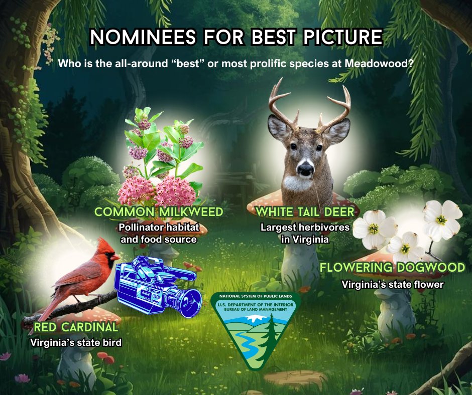 Bureau of Land Management - Eastern States tweet media