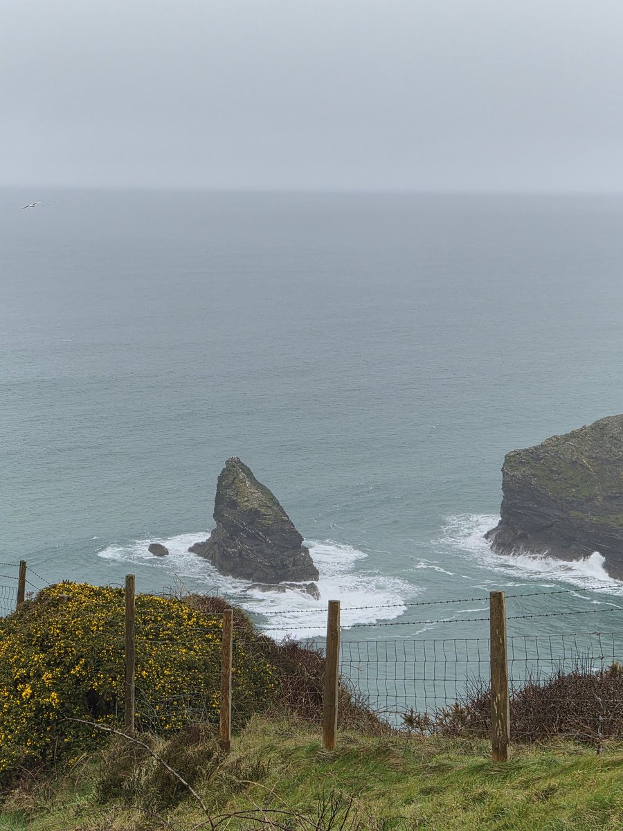 Electrix tweet media