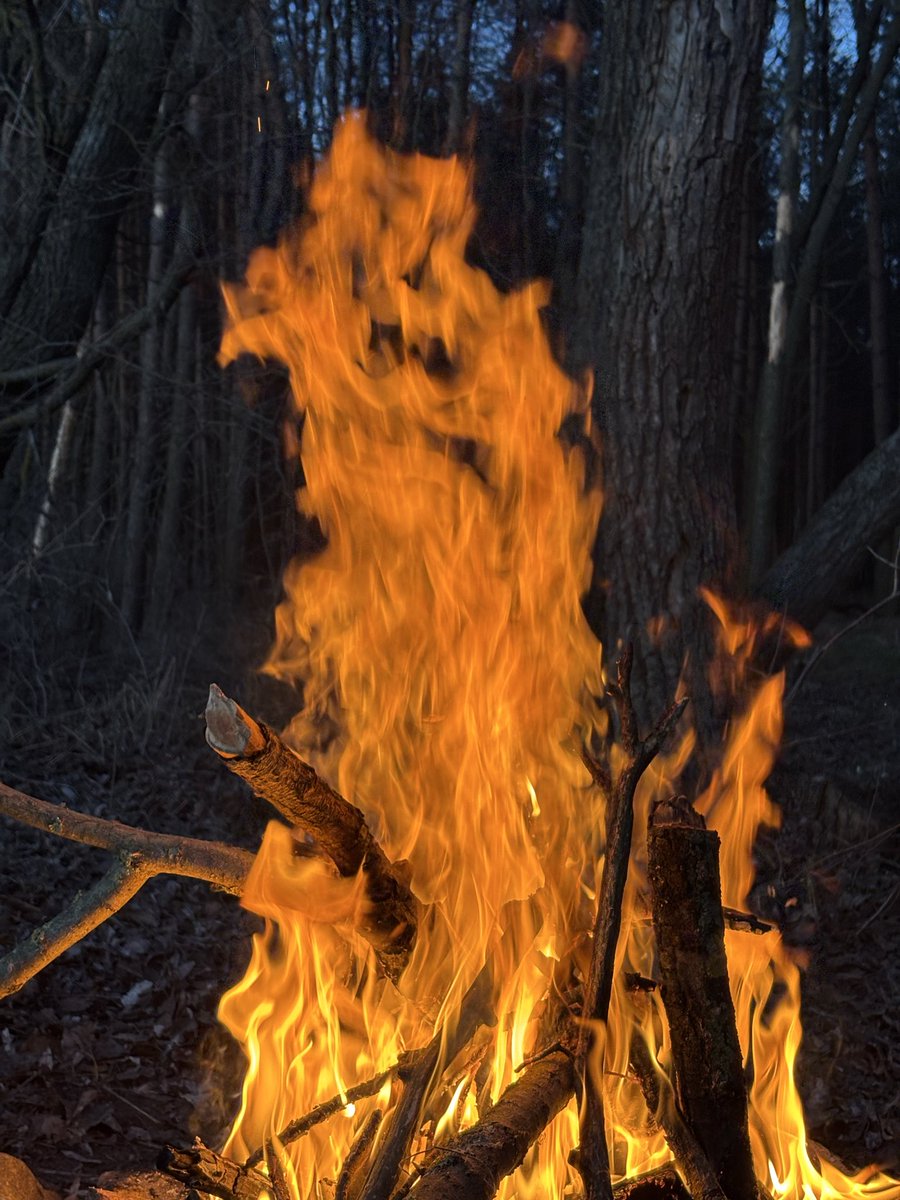 Історична розхлябаність🫠 tweet media