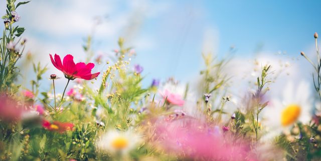 Weehawken NJ tweet media