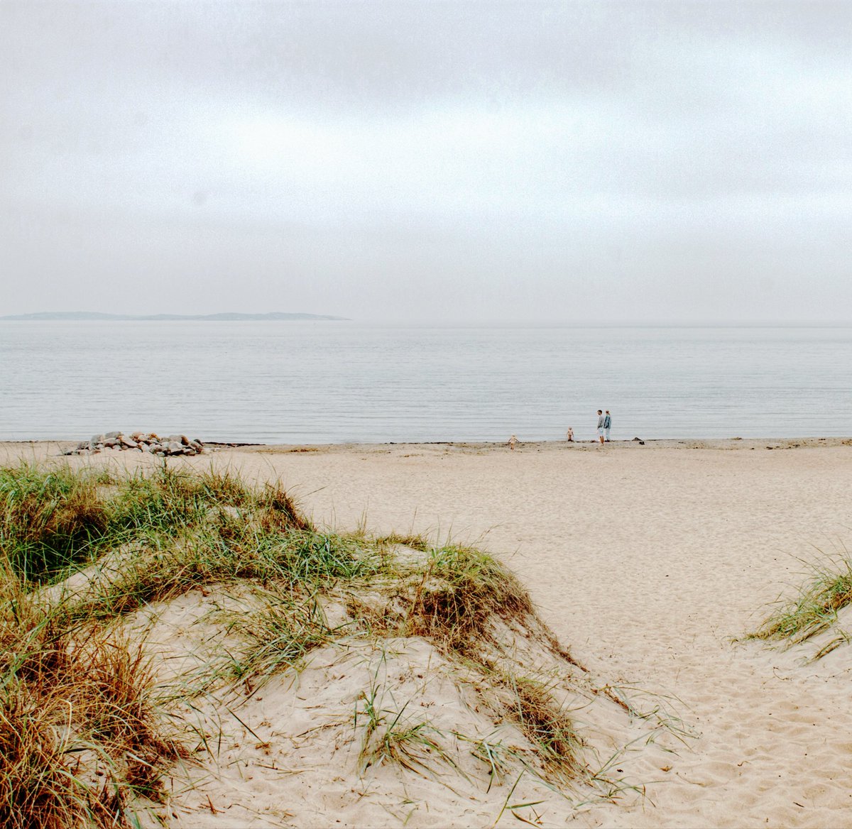 Syster yster 🇸🇪🇩🇪🇳🇴 tweet media