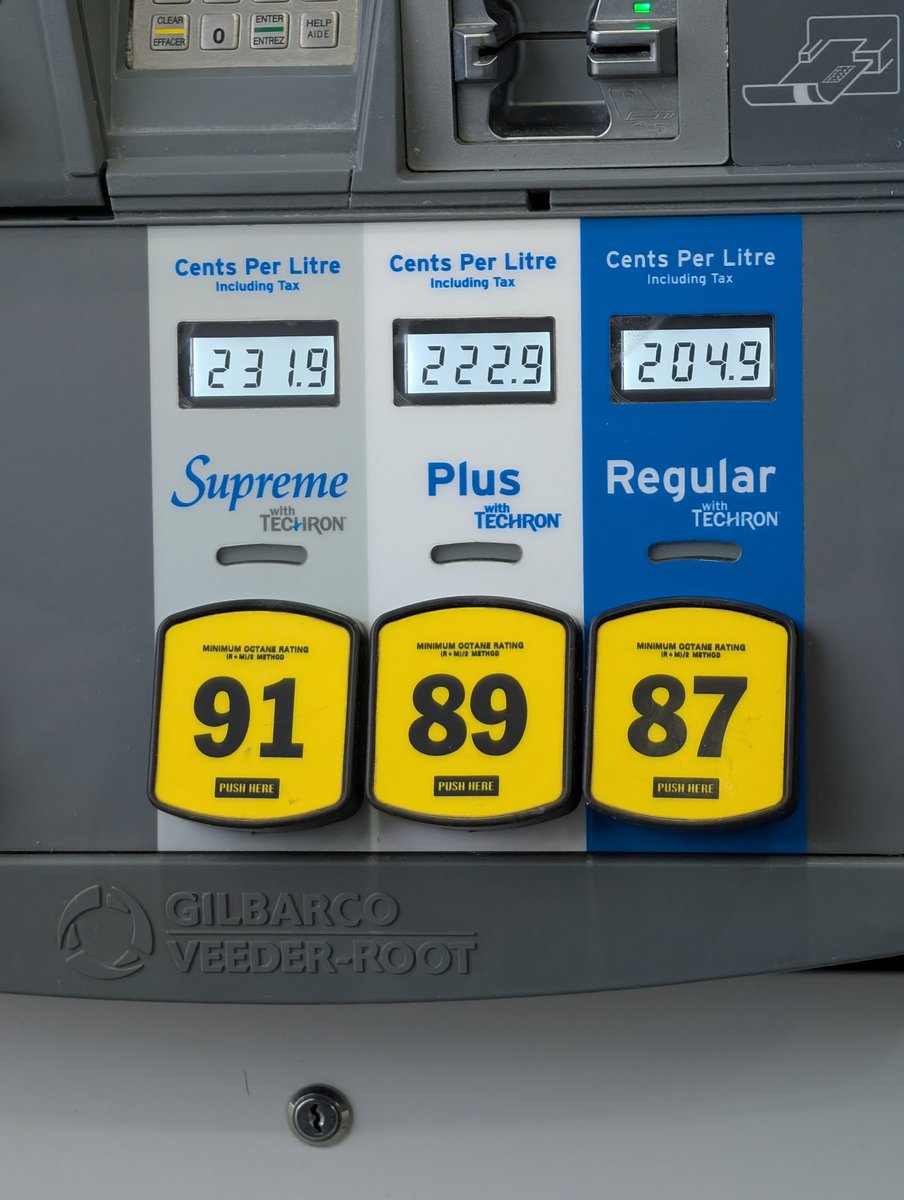 guyfelicella🇨🇦🍁 tweet media