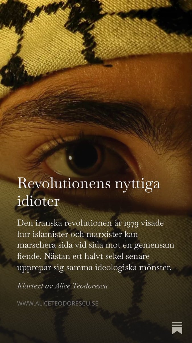 Alice Teodorescu Måwe tweet media