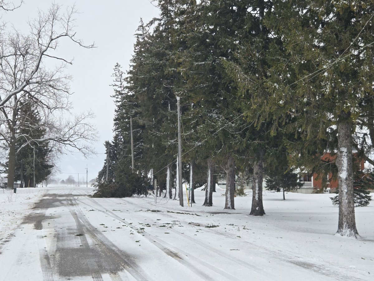 Josh Boersen tweet media