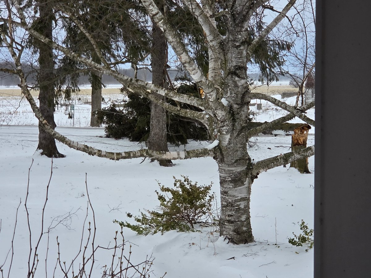 Josh Boersen tweet media