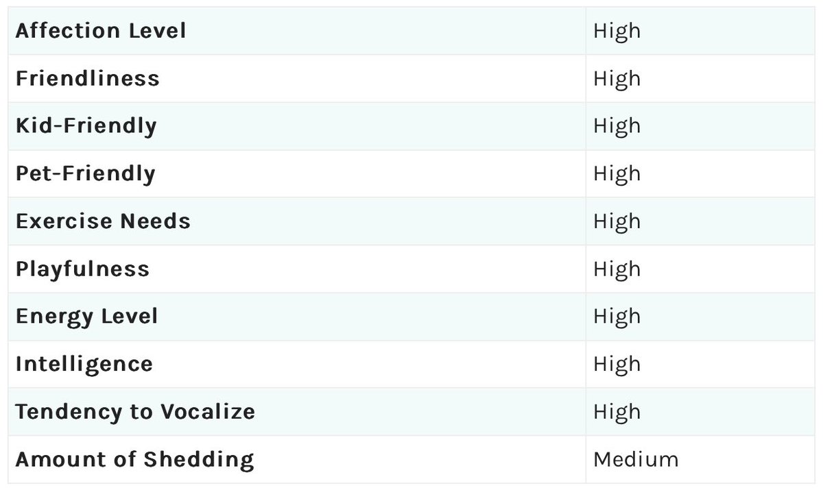 viktor 🤖💥 tweet media