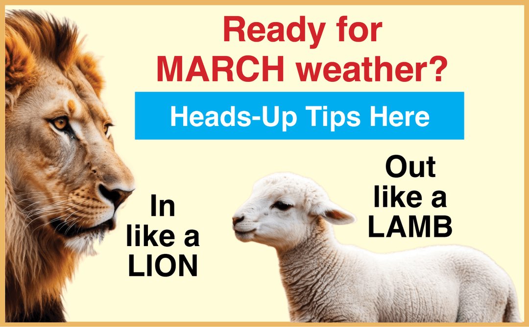 Halter Project tweet media