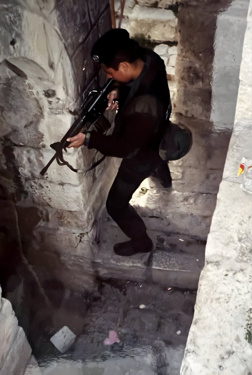 Haim gozali tweet media