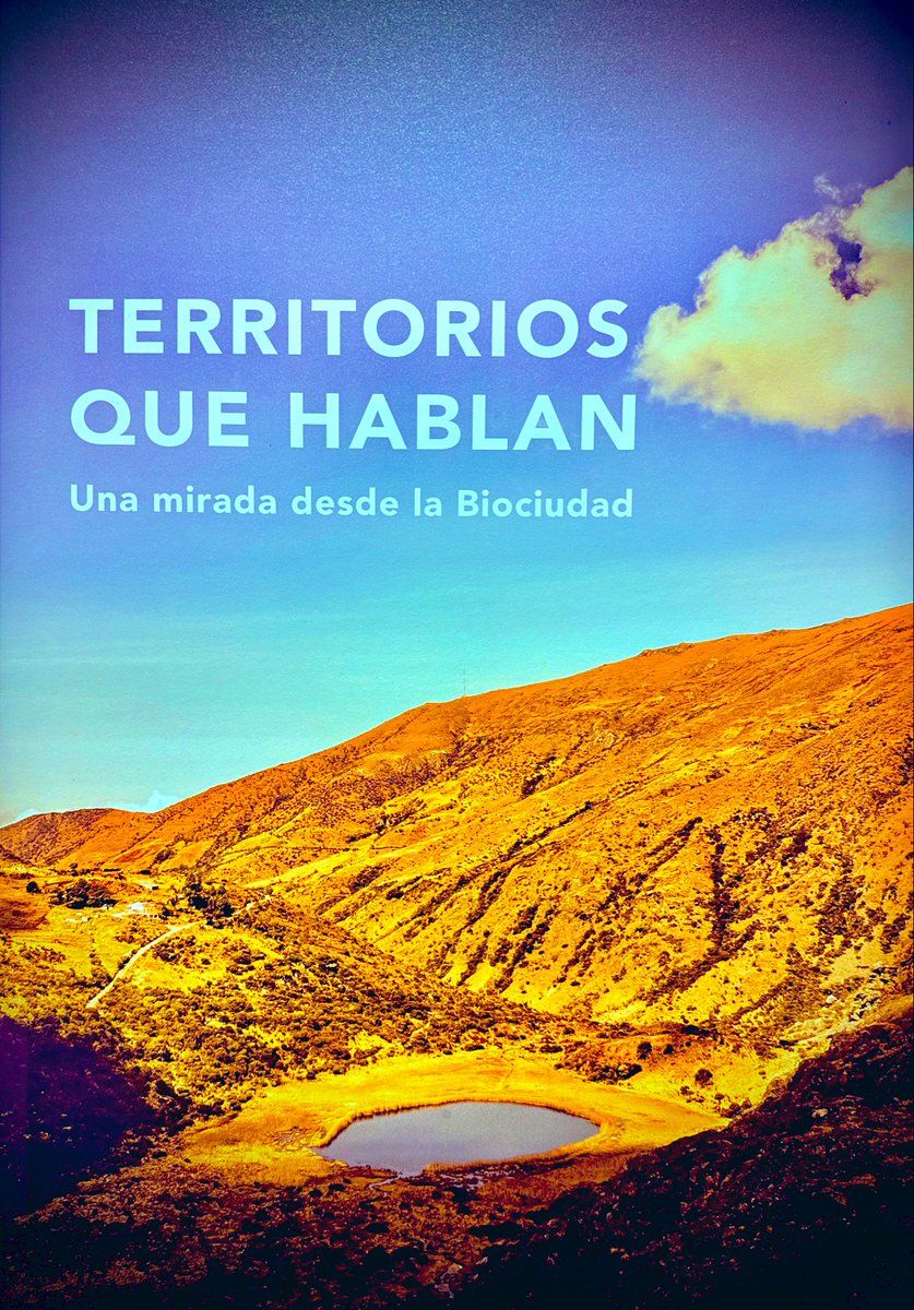 Iván Acevedo G. tweet media