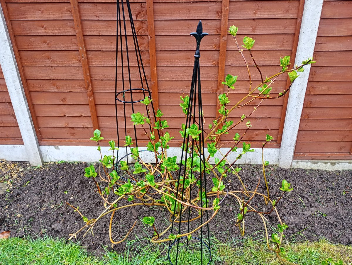 Garry Merrifield tweet media