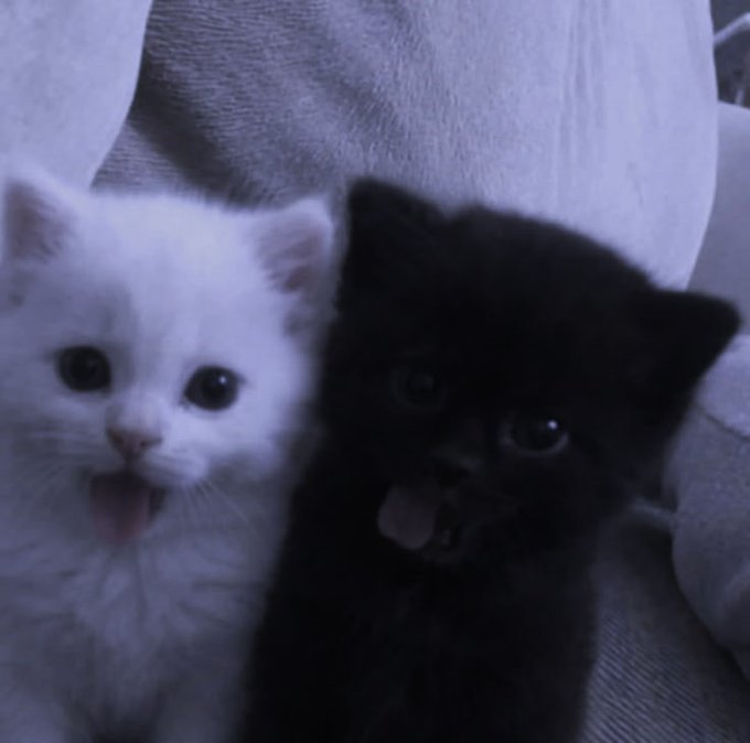 ✞ 🗝️ (@hakaelll) on Twitter photo 