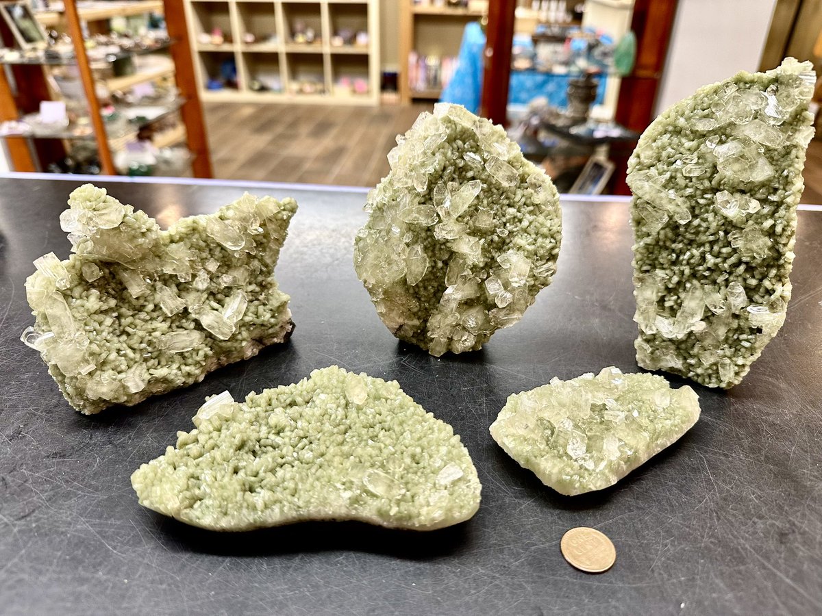 Wisdom of the Ages tweet media