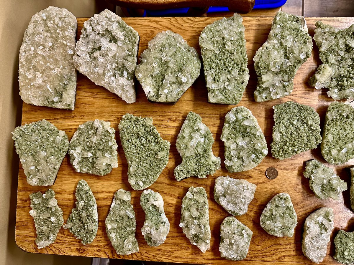 Wisdom of the Ages tweet media