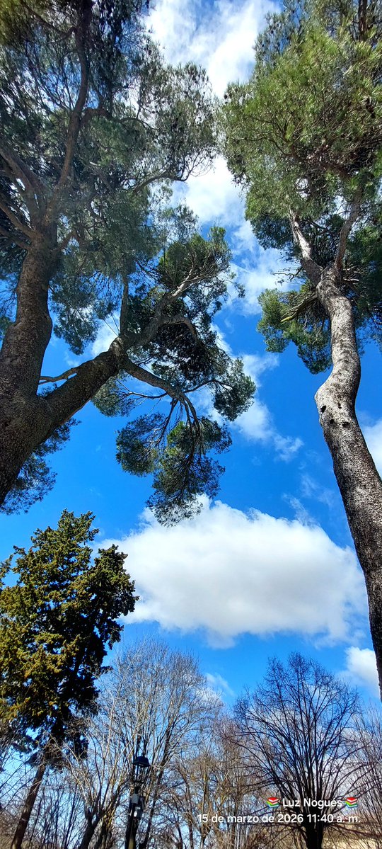 Que lo ordinario no nos impida ver lo extraordinario de lo que nos rodea.

La belleza está en todas partes,  solo hay que saber mirar.

Buenas noches y felices sueños,  querido equipo 🤗