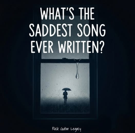 🇺🇸 Pecan 🇺🇸 tweet media