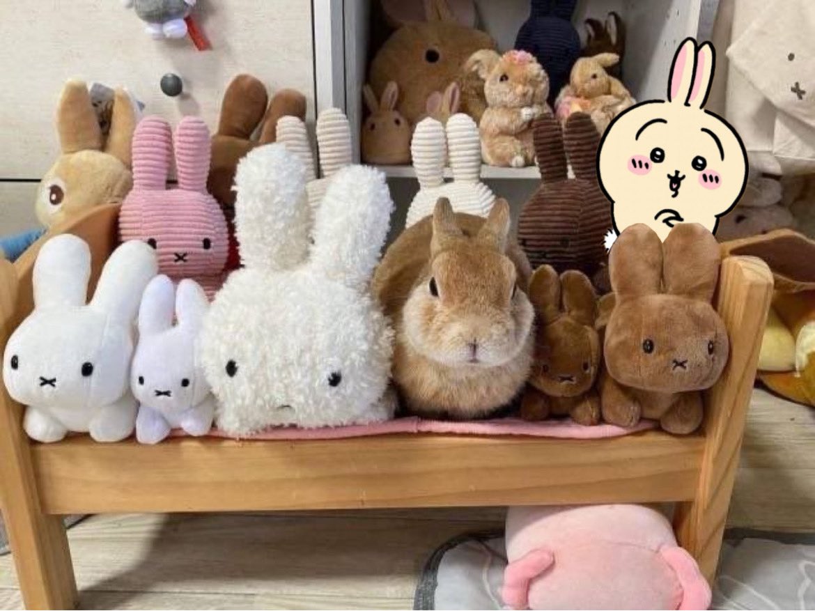 amber ♡ tweet media