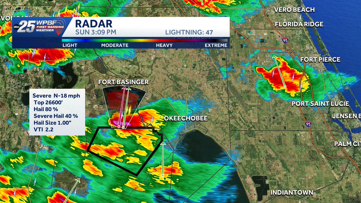 Sandra Shaw tweet media