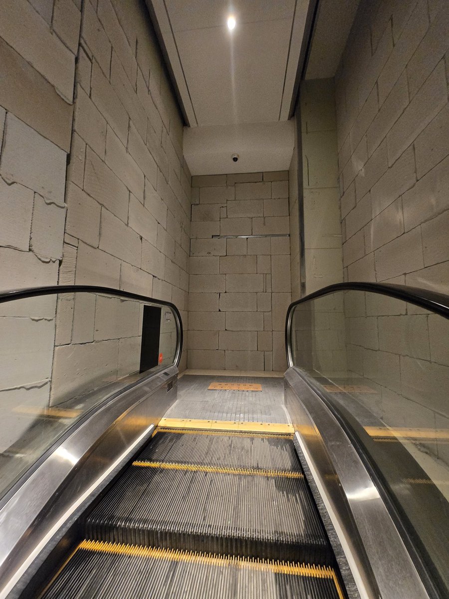 Sayu Sincro//Nisity🔩▶️In China! Back 23rd! tweet media