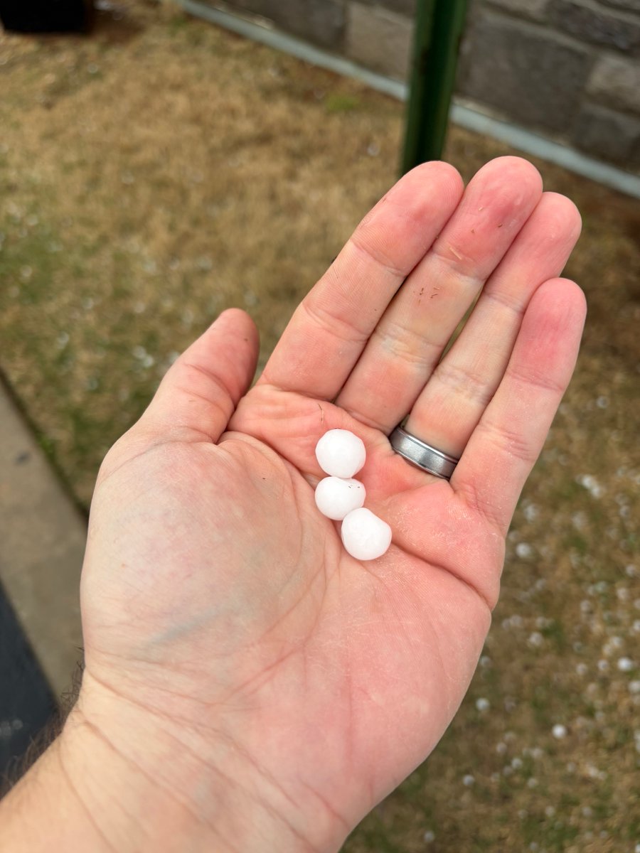 Wendell Hutchens tweet media