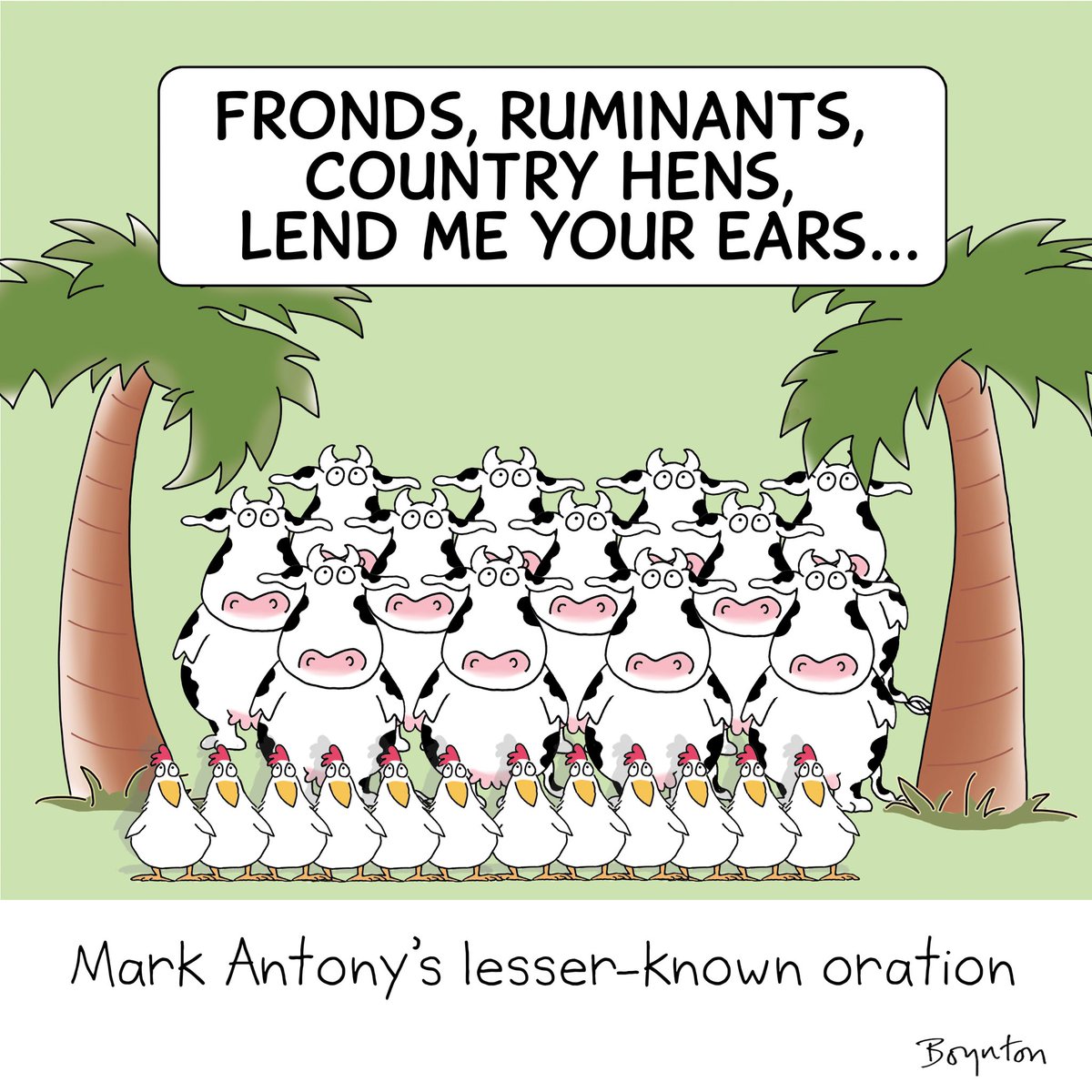 Cathe Capel tweet media