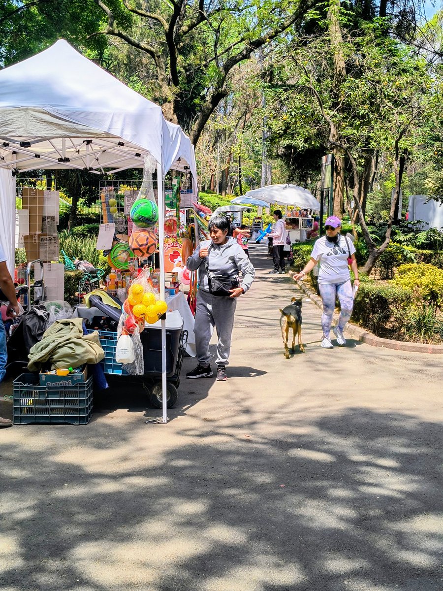 mauriciopg2020's tweet photo. Cada semana veo más ambulantes en el parque hundido 
@AccionesBJ @BJAlcaldia 
Buen negocio de la alcaldía https://t.co/OzCkBex5qp
