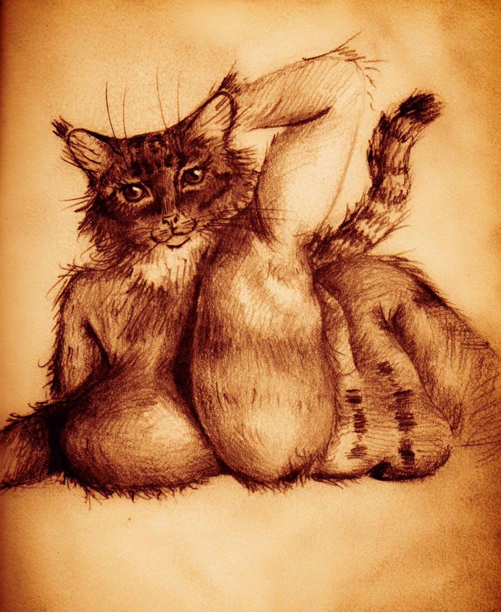 🕯🥛•malahiya•🥛🕯 tweet media