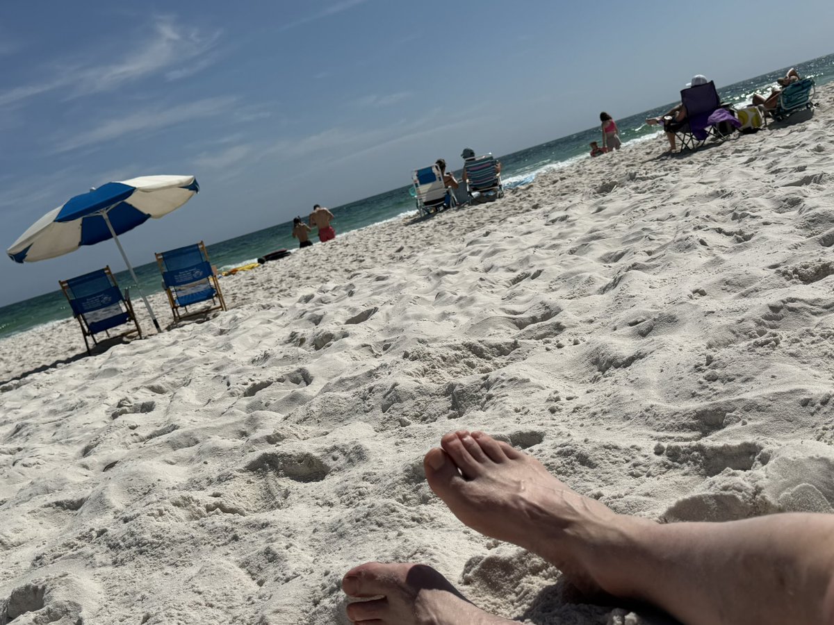 Tim Homan tweet media