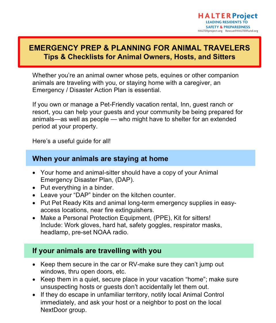 Halter Project tweet media