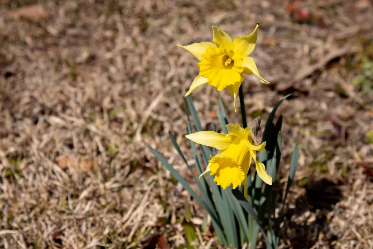 Cassie Clark tweet media