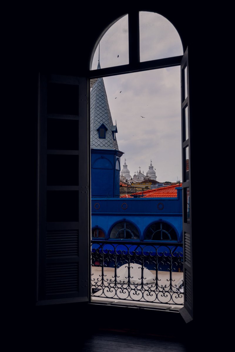 Alan Rodrigues 📸 tweet media