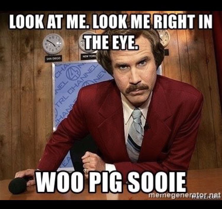 RazorbackShack🐗 tweet media