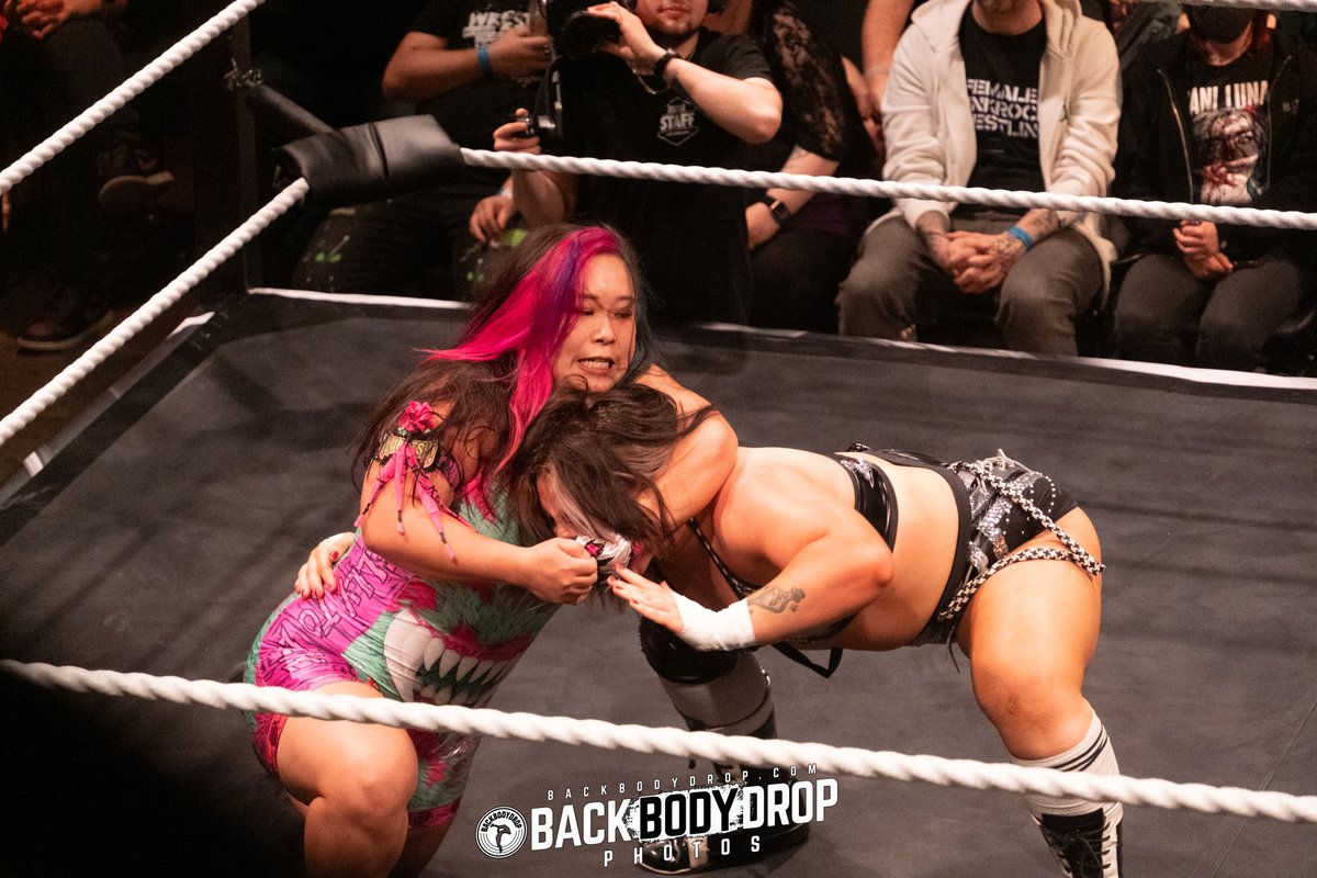 BackBodyDrop.com tweet media