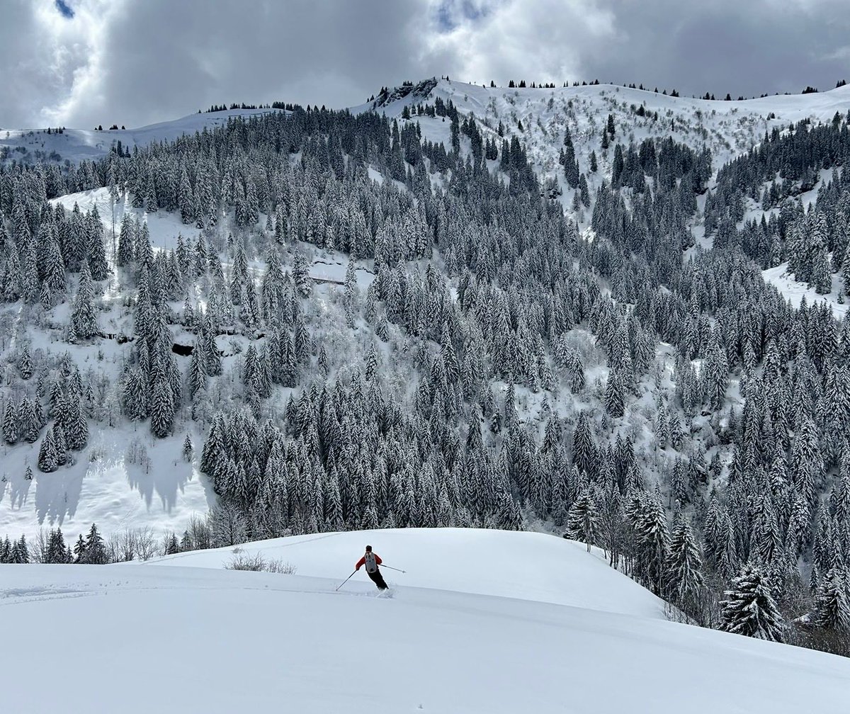 Mark Seaton tweet media