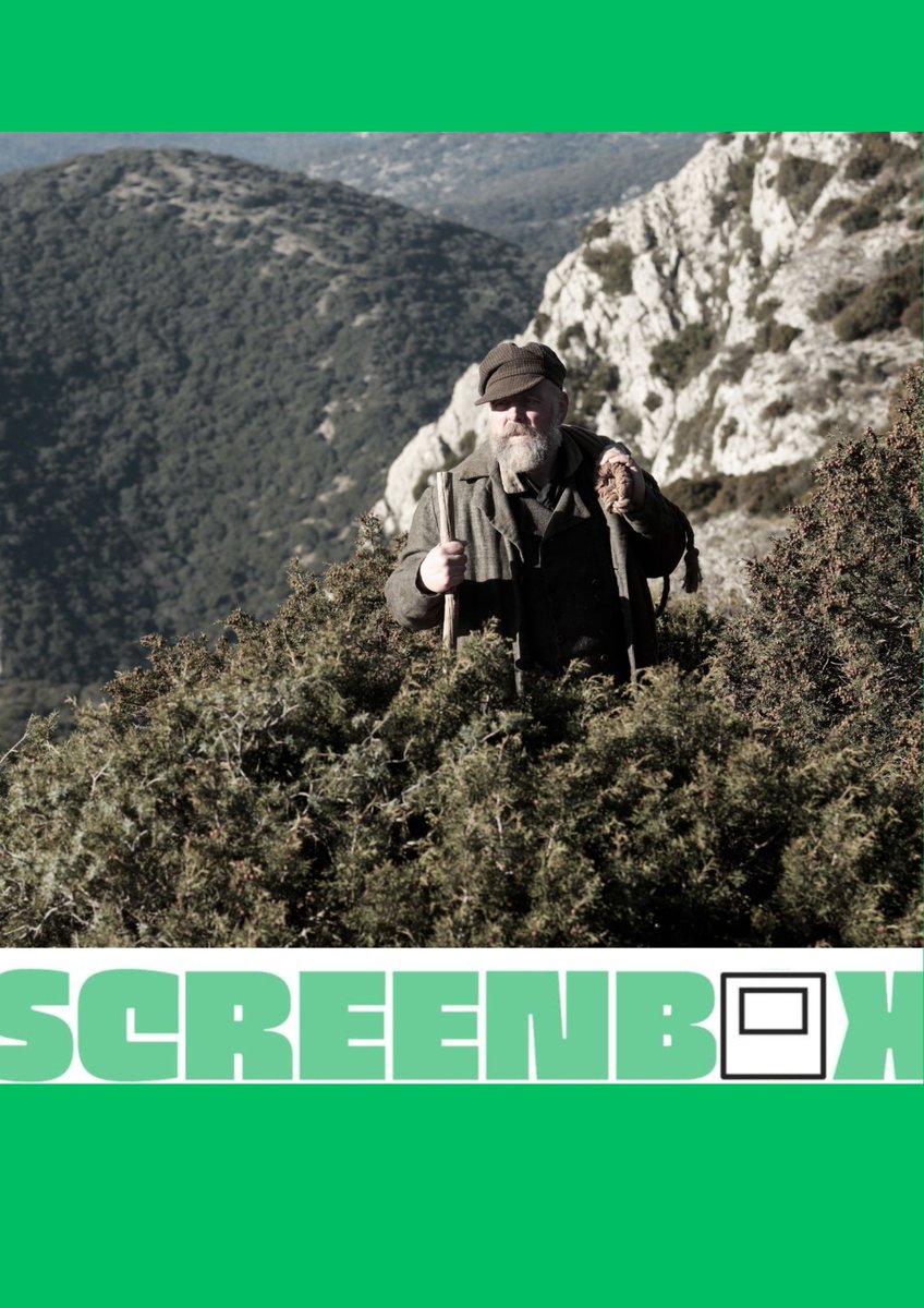 Screenbox Lleida tweet media