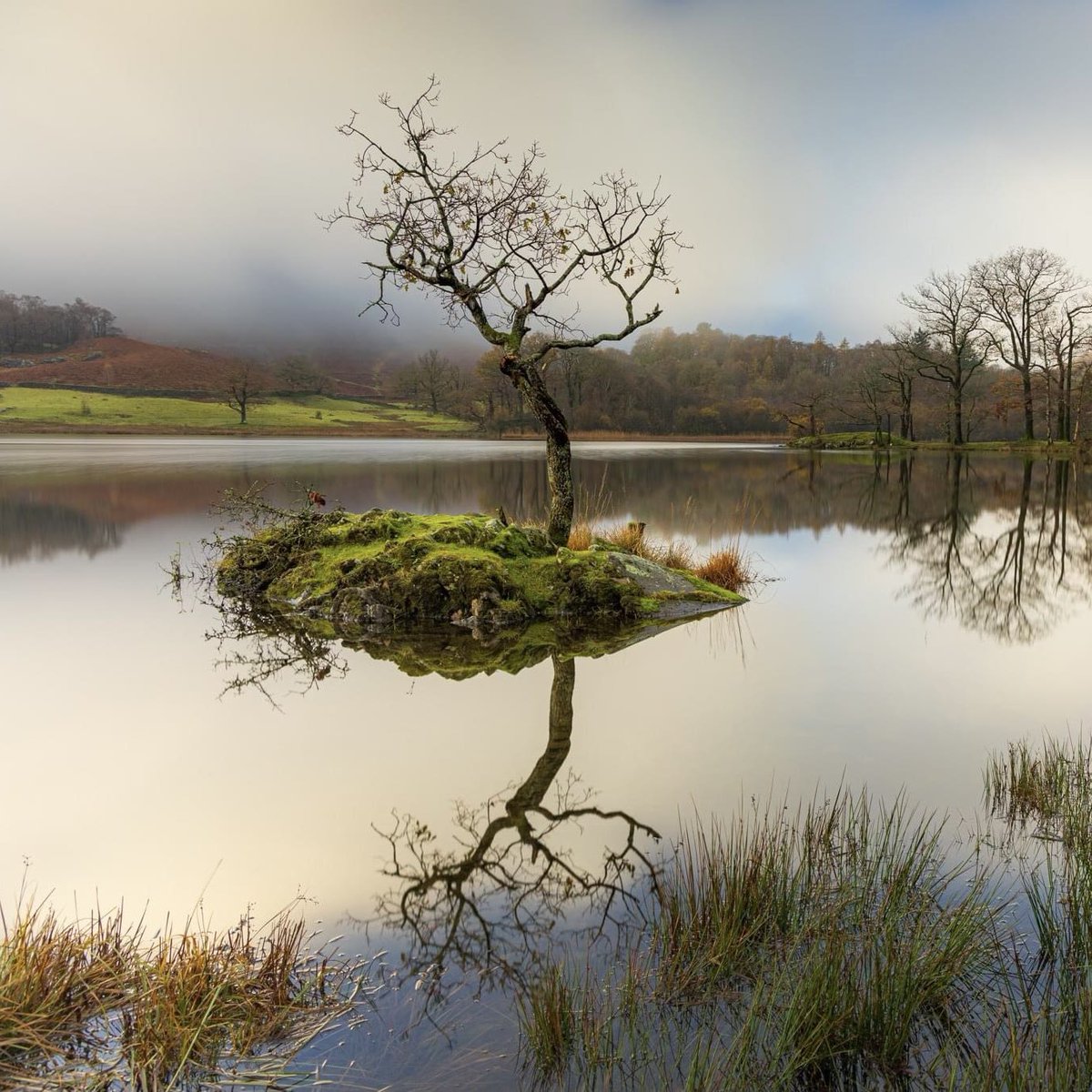 Mark Hume tweet media