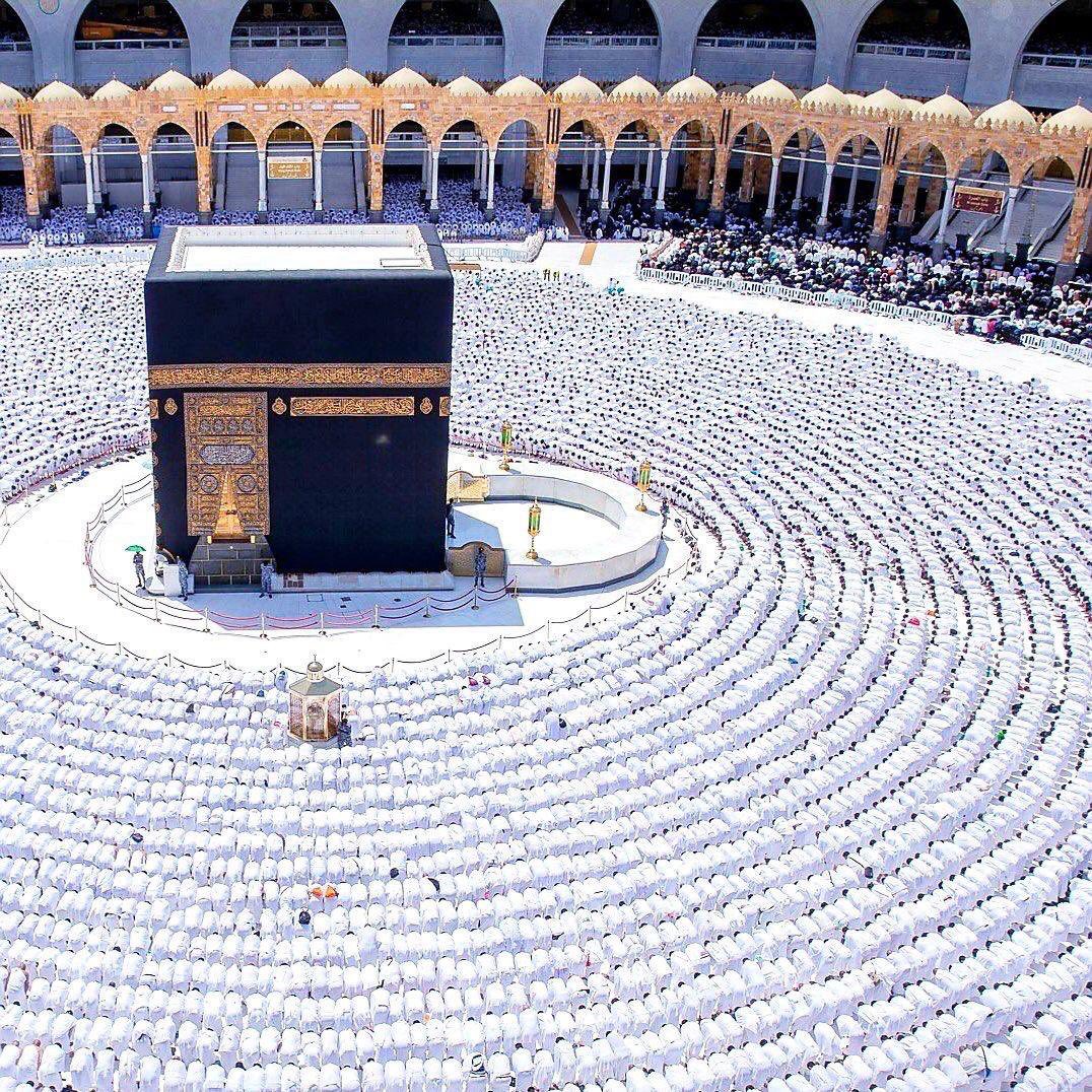 أبوعبدالله . tweet media