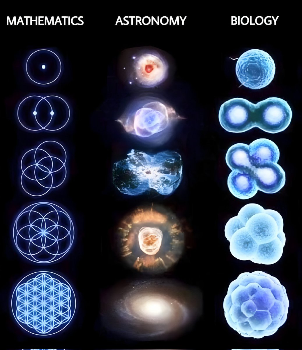 Night Sky Today tweet media