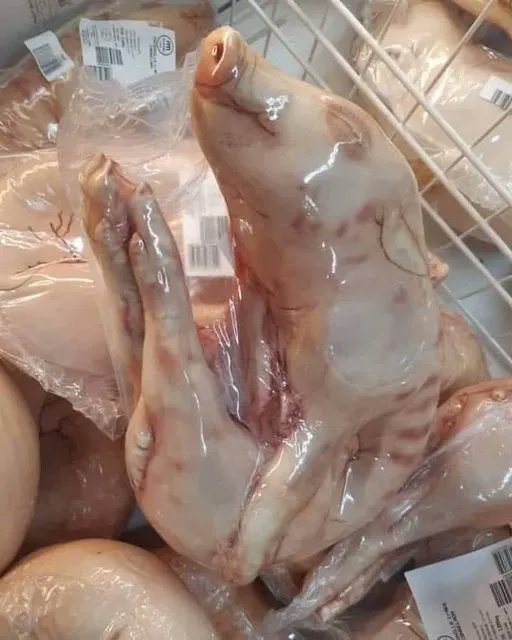 Ellie CG tweet media