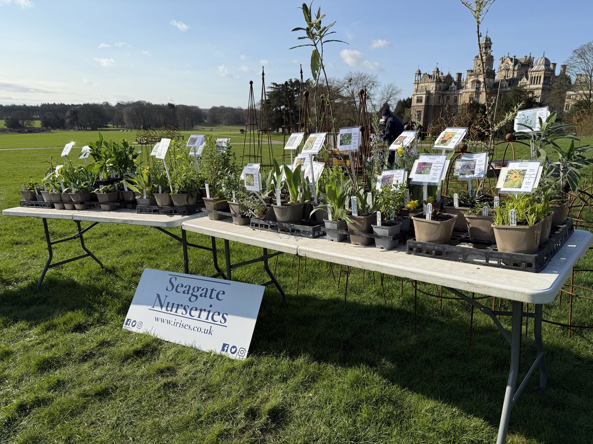 Seagate Nurseries tweet media