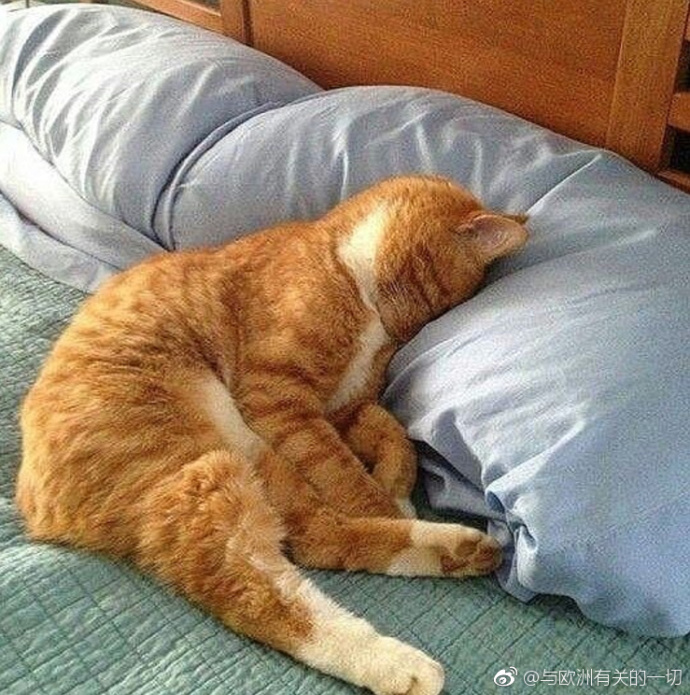 Boş İşler Müdürü tweet media