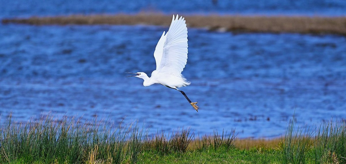 Kieran Minihane tweet media