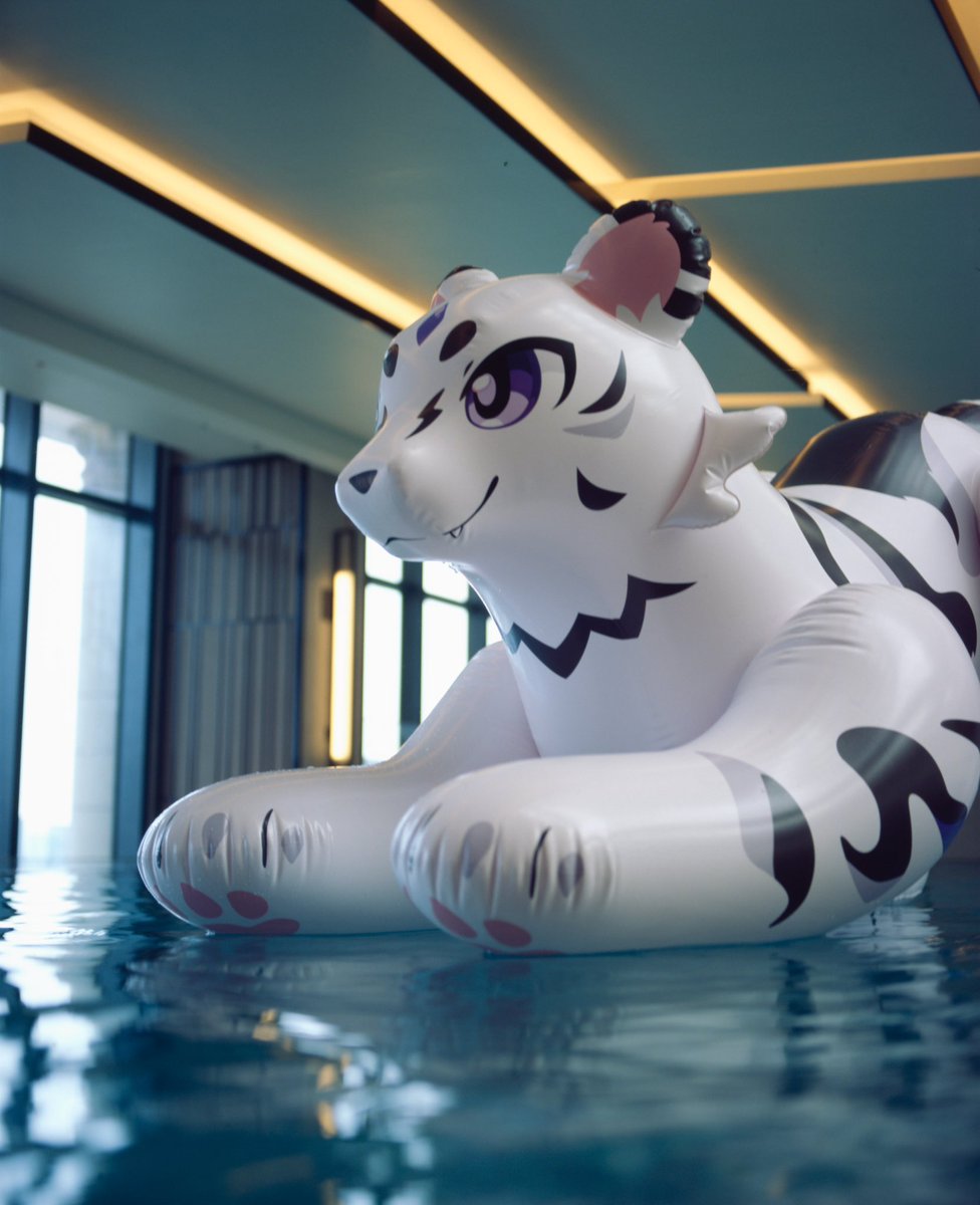 Tico·Willy tweet media