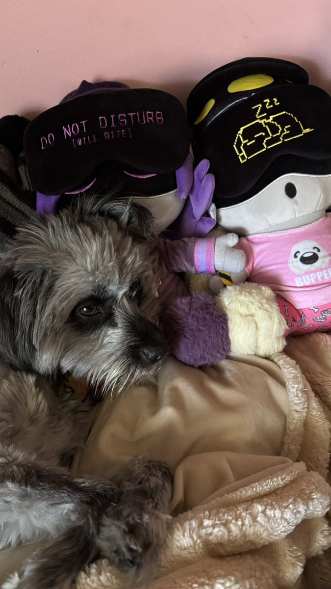 She loves snuggling with Sleepy Nuzi #nuzi