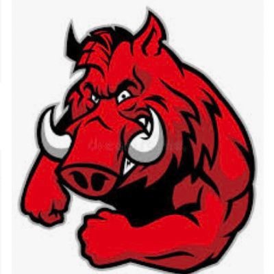 RazorbacksUSA tweet media