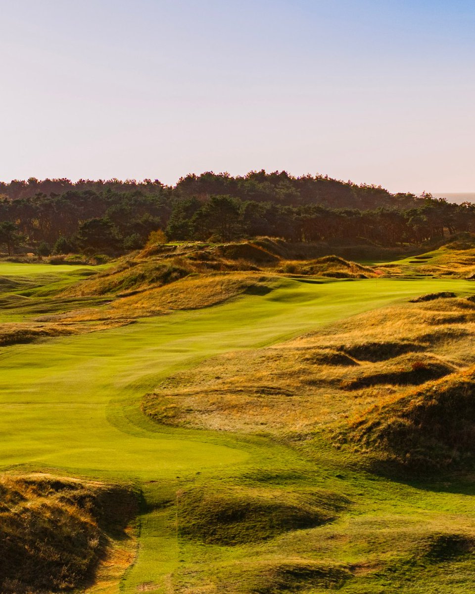 Cookie Jar Golf tweet media