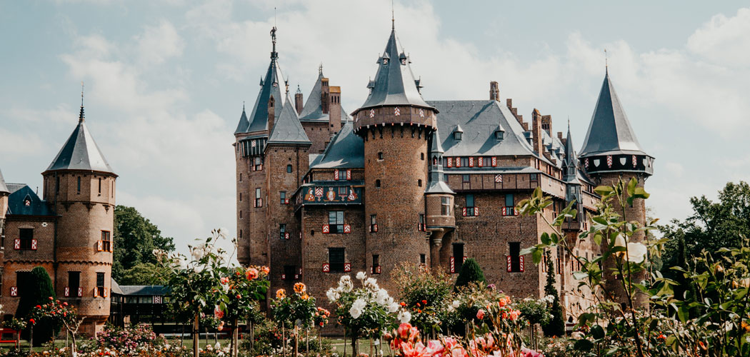 𝓜𝓲𝓼𝓼 𝓡𝓸𝓼𝓮 ⚘️ tweet media