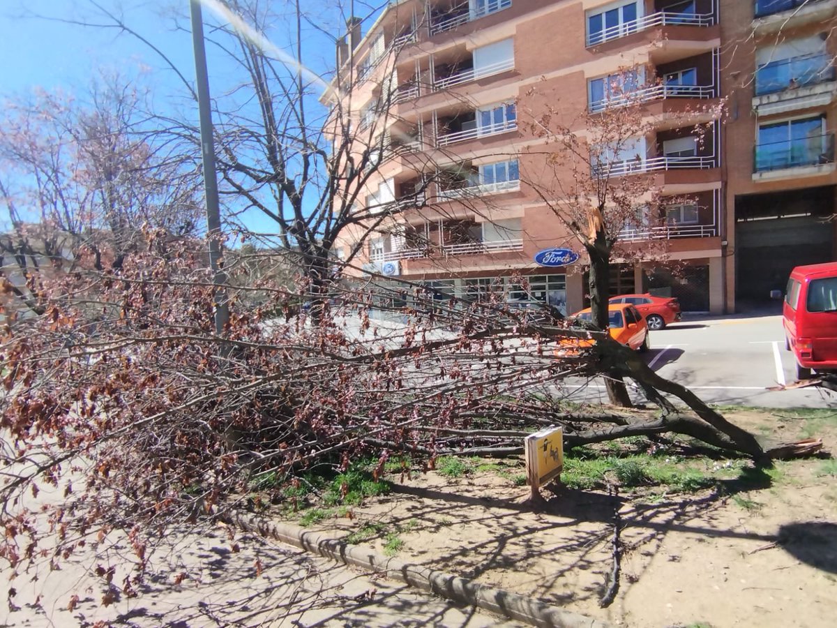 Aleix Serra Uró tweet media